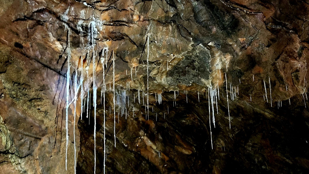 Visita de estudo às Minas de Sal-Gema e aos Banhos Islâmicos e Casa Senhorial dos Barreto, em Loulé