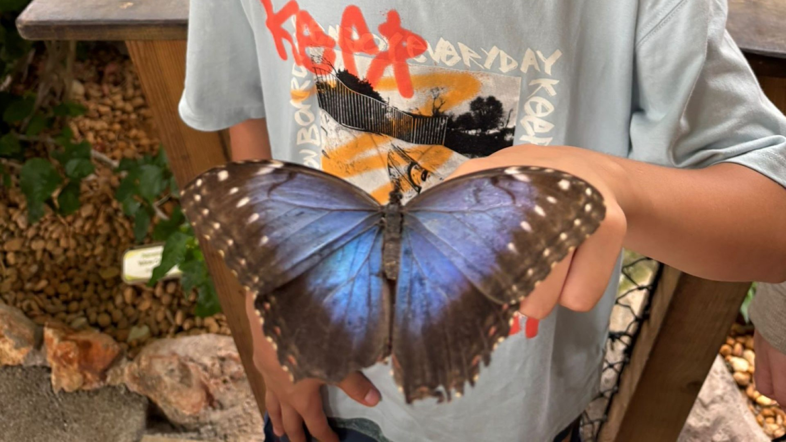 Encerramento do ano letivo do Clube Ciência Viva na Escola!