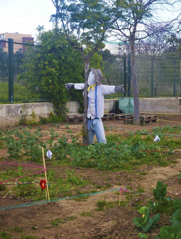 Escola Básica de Pedra Mourinha