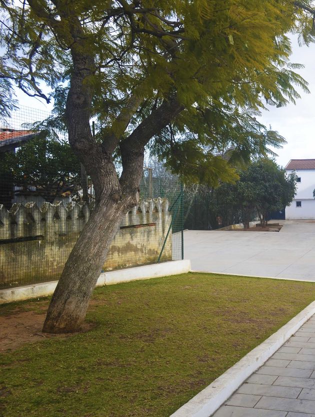 Escola Básica de Chão das Donas